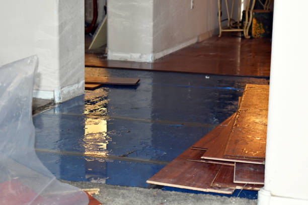 Professional Water Damage Restoration technician working in Rex, GA